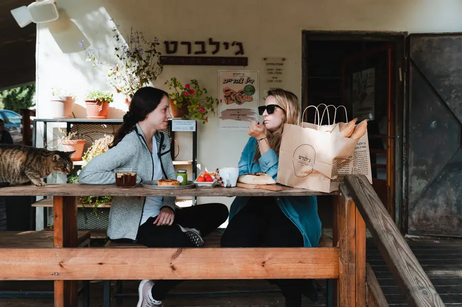 ג'ילברט — תמונה 22